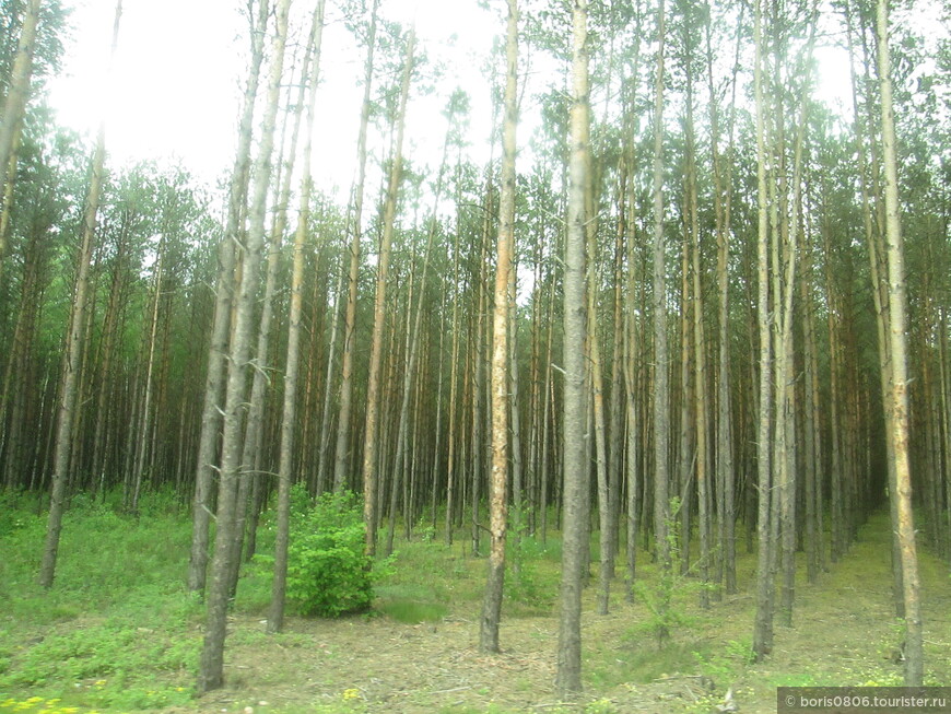 Поездка в Каменец-Литовский, маленький, но приятный