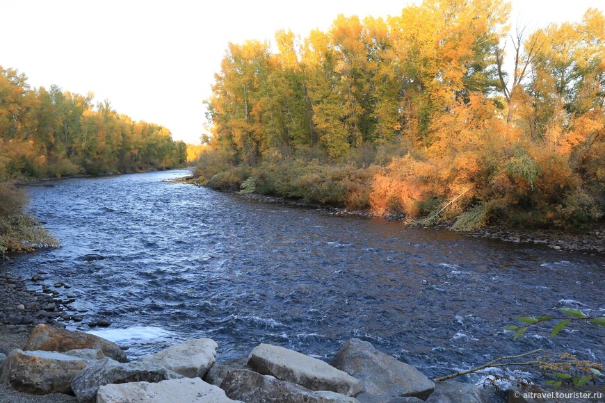 Река Ганнисон в районе города Ганнисон. Это штат Колорадо, и осень там всегда особенно красива.