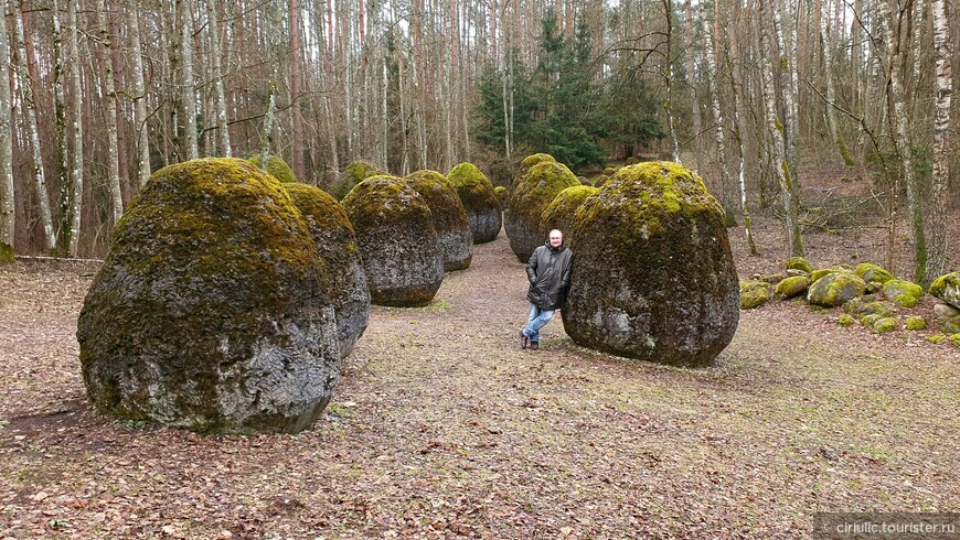 Магдалена Абаканович.Польша.Территория неопознанного роста.