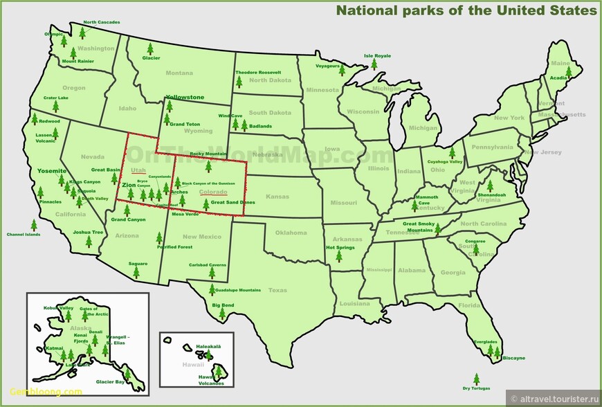 Карта 1.  Колорадо и Юта на карте США (выделены красным контуром).  Зелеными елочками обозначены национальные парки. Видно, сколько много их на территории Юты (по их количеству Юта уступает только Аляске и Калифорнии).