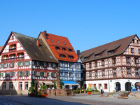 Цветочный город Генгенбах