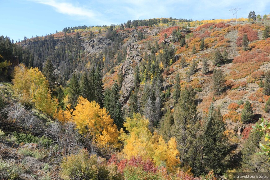Фото 33. Осенние краски на одном из склонов зоны отдыха Куреканти
