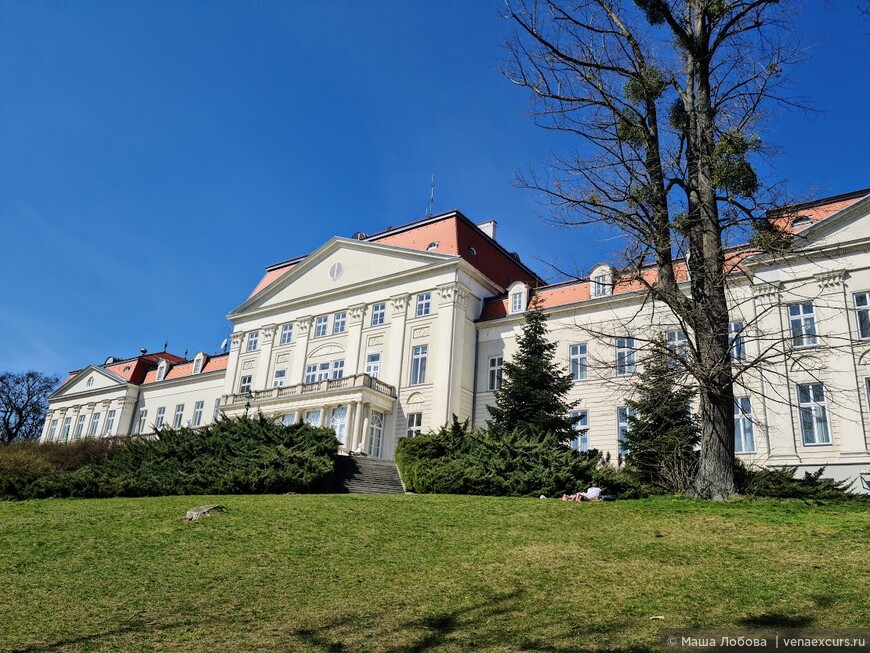 Дворец-отель и роскошный парк в Вене