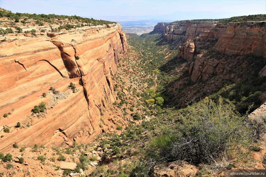 Фото15. Красный каньон. Хорошо видно, что правая стена каньона выветрилась гораздо сильнее левой, которая практически - вертикальный монолит.
