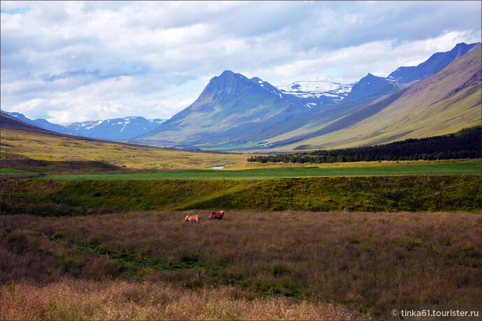 А за окном  типичные исландские ландшафты. Всюду хотелось остановиться, но зная, какой нам предстоит проделать путь, остановки мы делали не часто.