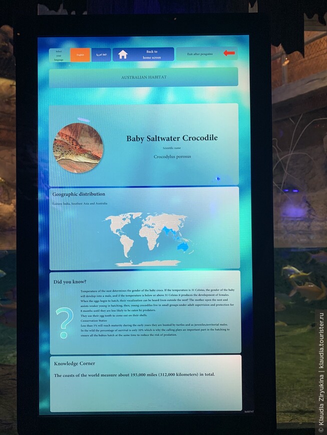Второй аквариум Дубая (самый большой в мире) — с мини-зоопарком