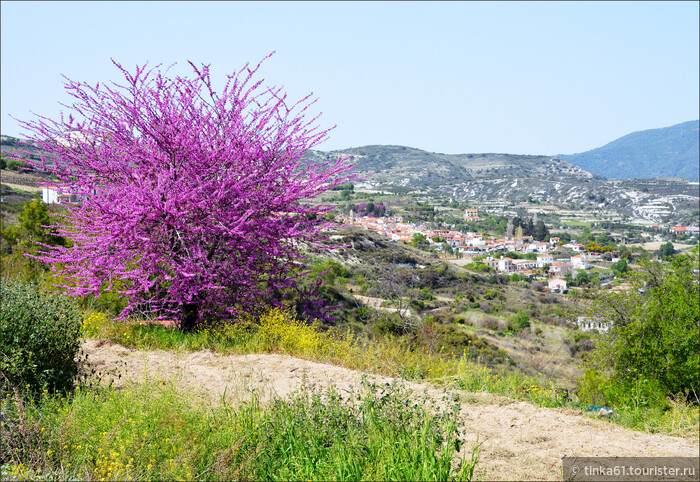 Цветущие деревушки в предгорьях Троодоса