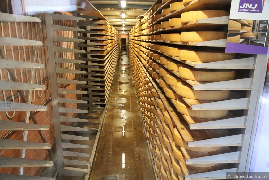 Фото 46. Хранилище для созревания сыра.