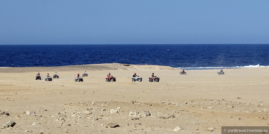 Марса-Алам. Верблюды, квадроциклы и бедуины...