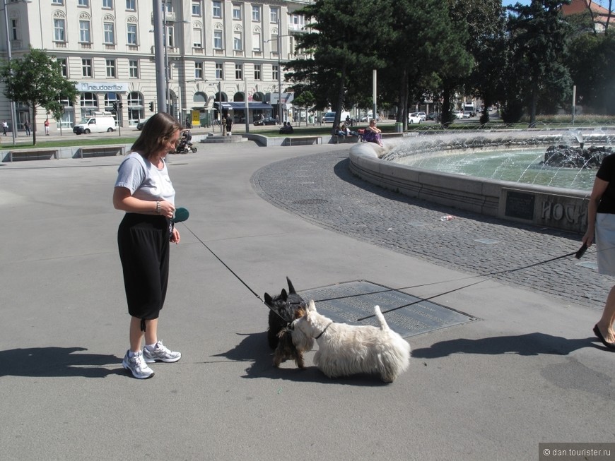Небольшое путешествие в Европу с маленькой собакой. Часть 1. Вена.