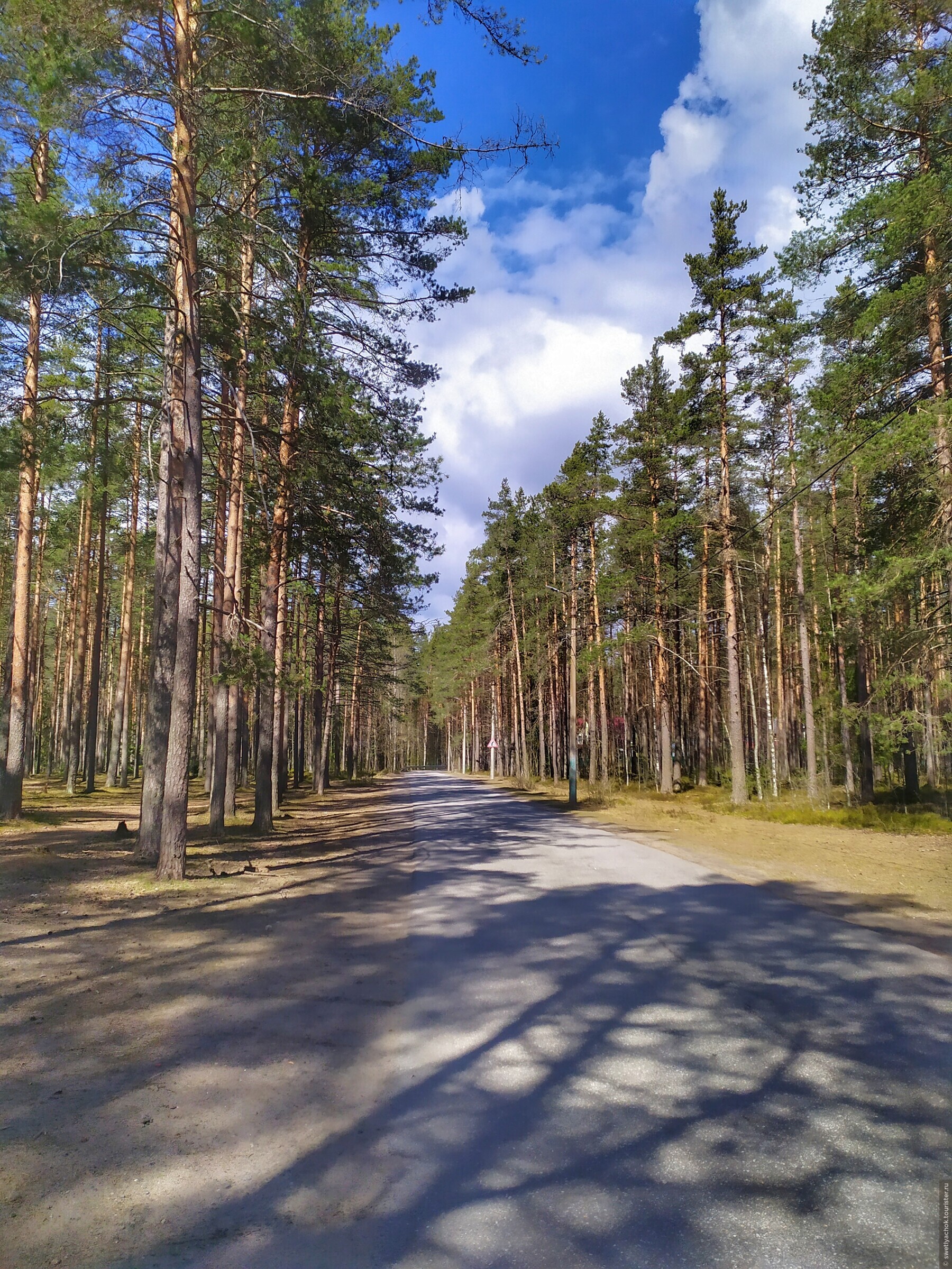 санкт петербург комарово