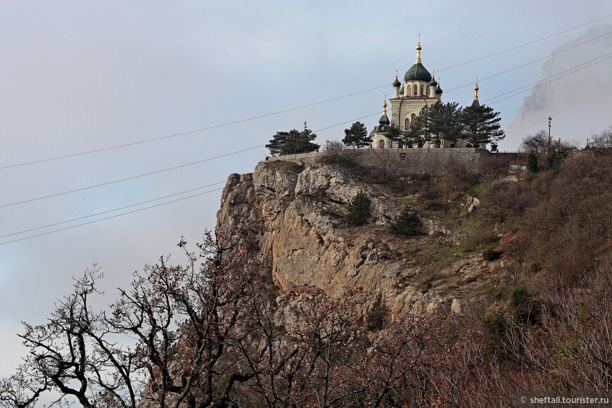 Крым: январь и розы