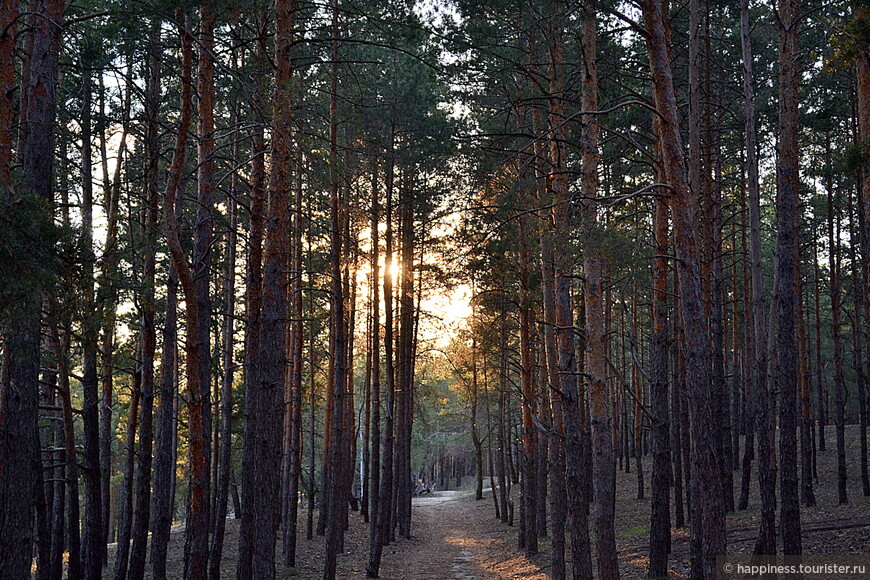 Климато-бальнеологический курорт лесостепной зоны Ростовской области
