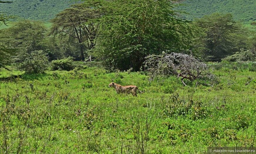 Танзания'21 (обзорка)