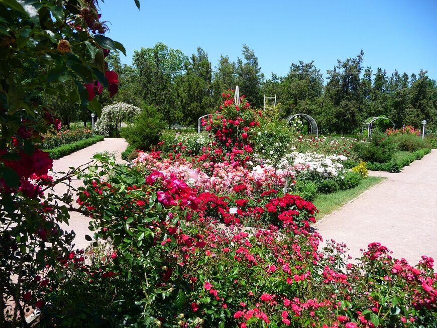 Ботанический сад Симферополя – парк Салгирка