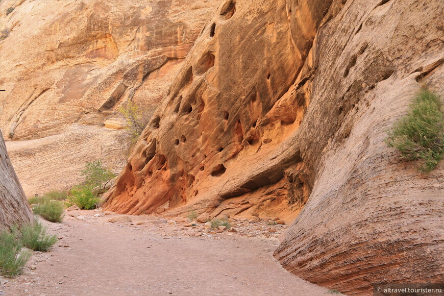 Такие дырчатые стены из песчаника иногда называют сотами (honeycomb). Они возникают, когда участки неплотно скреплённого песка высыпаются в результате выветривания, образуя многочисленные полости в стенах каньона