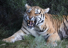 Tiger Canyon — скрытая жемчужина ЮАР