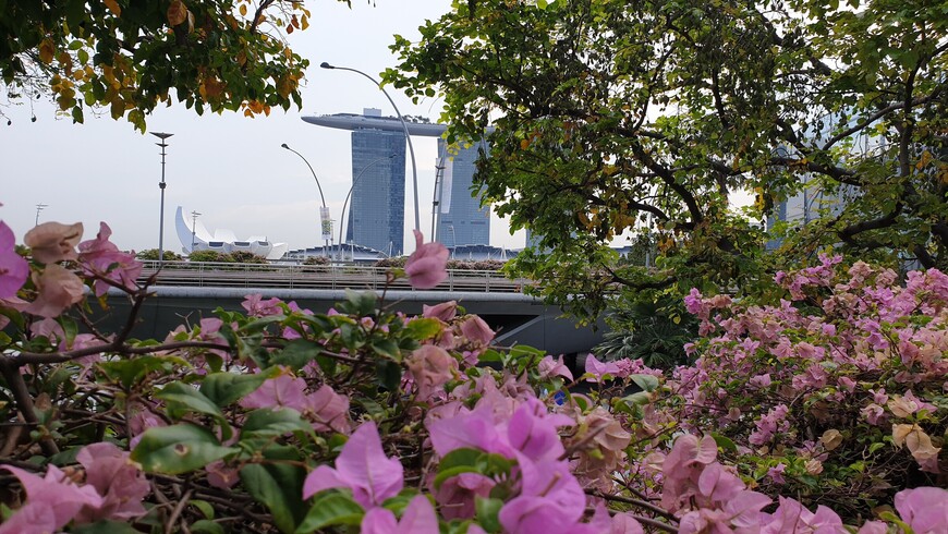 Кругосветное путешествие! Часть 10. Азия. Сингапур