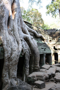 Жемчужина Азии. Ангкор
