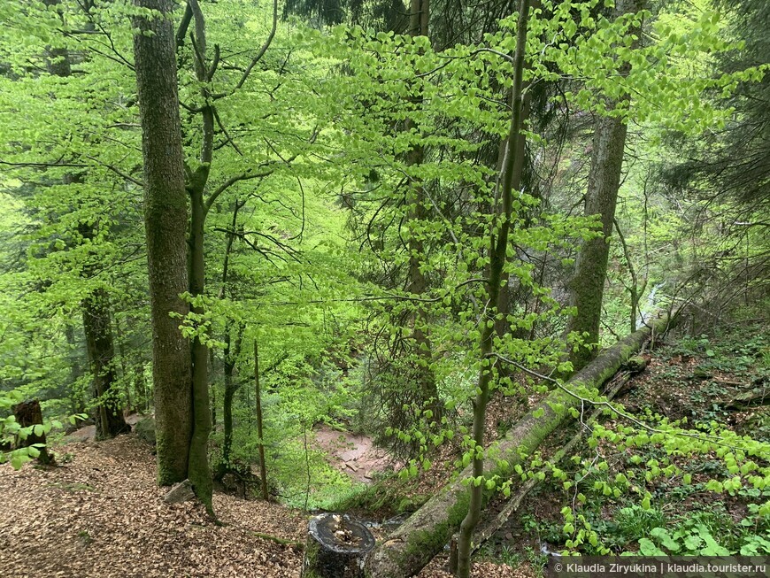 Для тех, кто любит карабкаться, Занкенбах — каскадный водопад и озеро