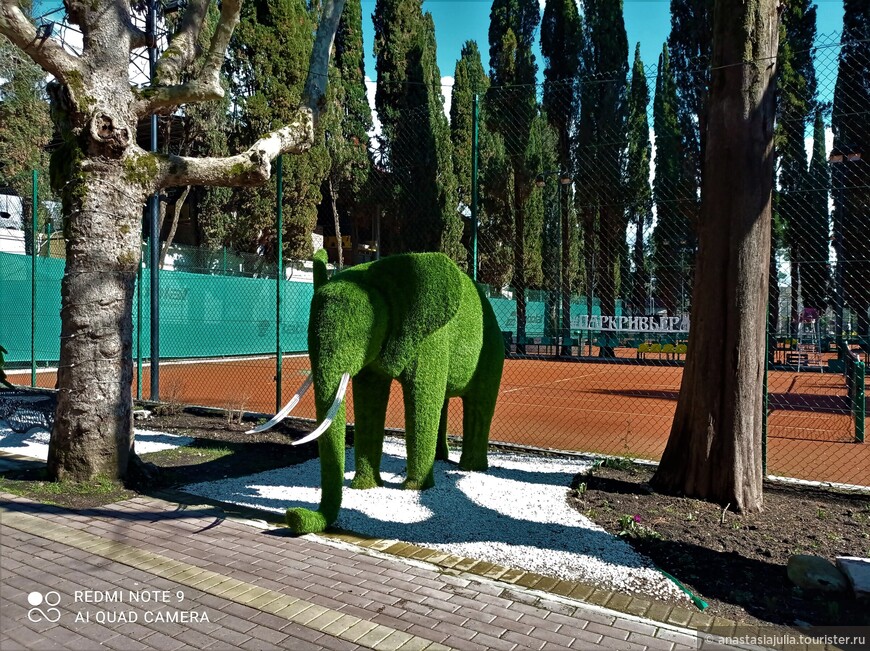 История одного парка: дивная «Ривьера» в Сочи