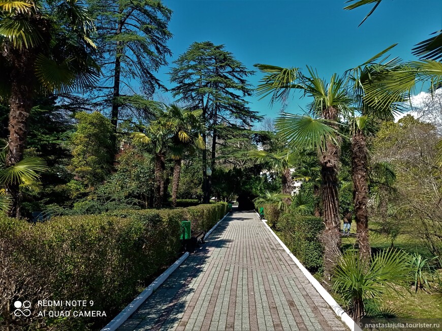 История одного парка: дивная «Ривьера» в Сочи