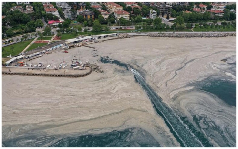 Мраморное море в Турции «пожирает» слизь, которая постепенно убивает все живое в воде: ужасающие фото экологической катастрофы