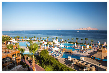 Возобновление чартеров на курорты Египта ожидается в начале июля