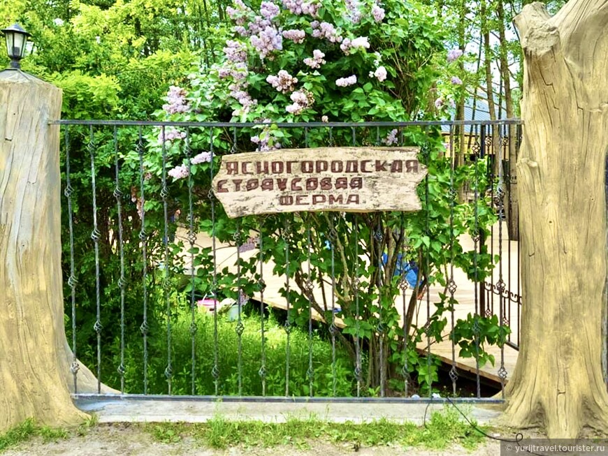 Духовно-релаксные места в окрестностях Киева