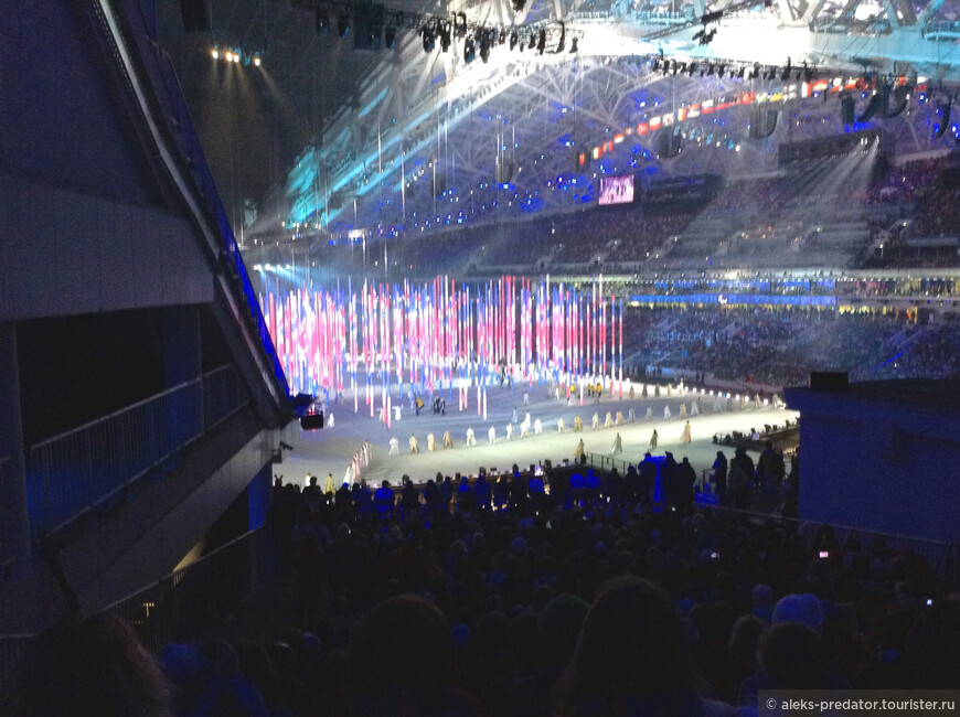 Захватывающая Олимпиада в Сочи