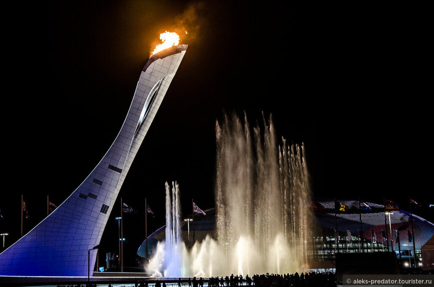 Захватывающая Олимпиада в Сочи