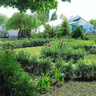 Ботанический сад ВГУ