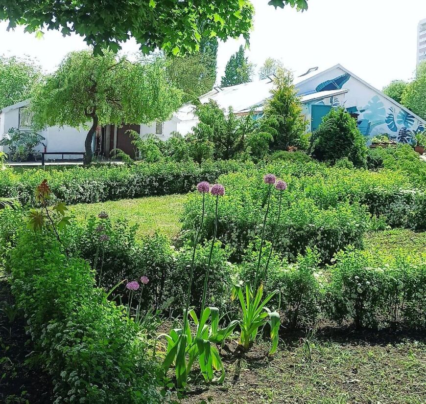 Ботанический сад ВГУ