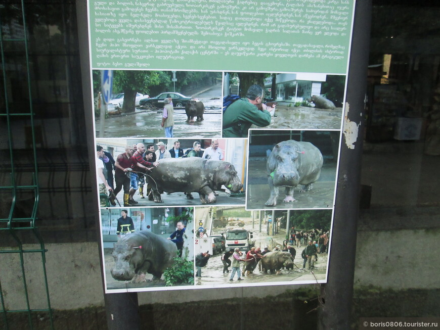 Приятный столичный зоопарк когда-то пострадавший от наводнения