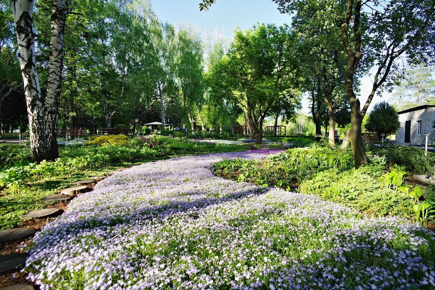 Донецкий ботанический сад