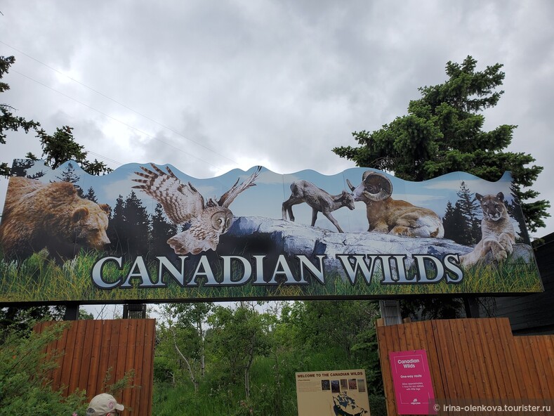 Calgary Zoo