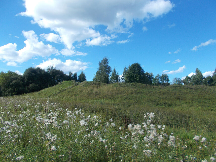 Центральное городище