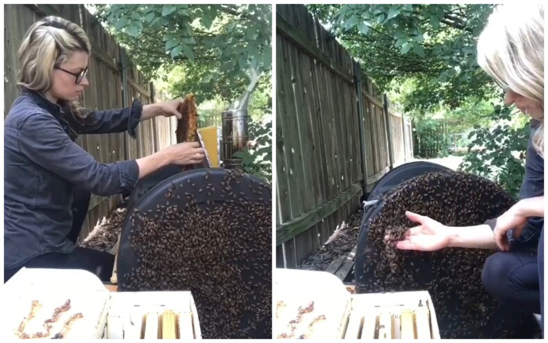 Видео с храброй девушкой, которая голыми руками перенесла пчел, собрало миллионы просмотров: история самого очаровательного пчеловода