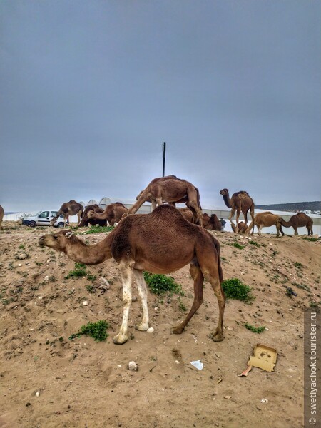 Мое самое любимое место в Марокко, или история зимовки на океане — часть 4
