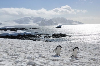 В Антарктиде исчезло гигантское озеро
