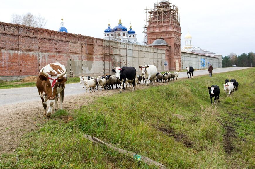 Николо-Сольбинский монастырь