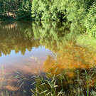 Чайное озеро в Смолькино