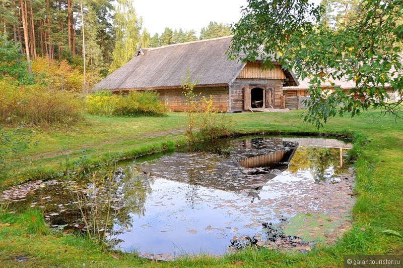 Осенняя фото-прогулка по Латвийскому этнографическому музею