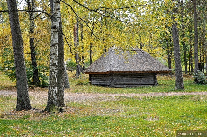 Осенняя фото-прогулка по Латвийскому этнографическому музею