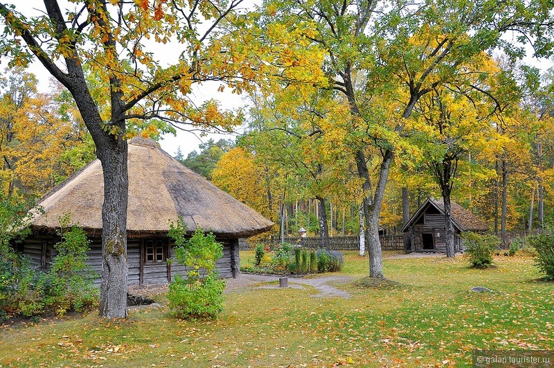 Осенняя фото-прогулка по Латвийскому этнографическому музею