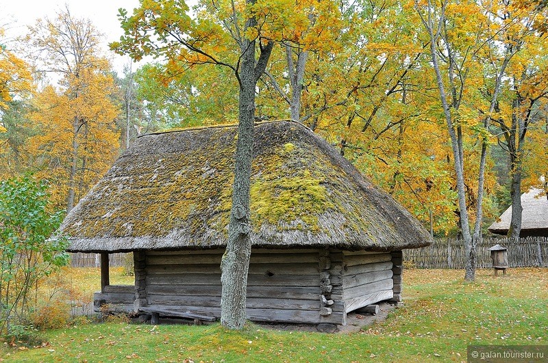 Осенняя фото-прогулка по Латвийскому этнографическому музею