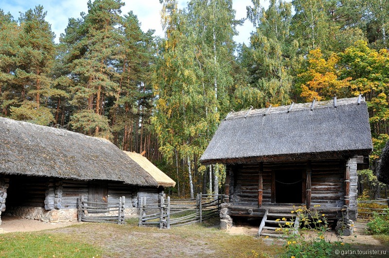 Осенняя фото-прогулка по Латвийскому этнографическому музею