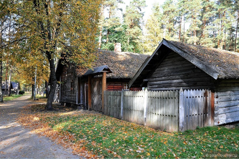 Осенняя фото-прогулка по Латвийскому этнографическому музею