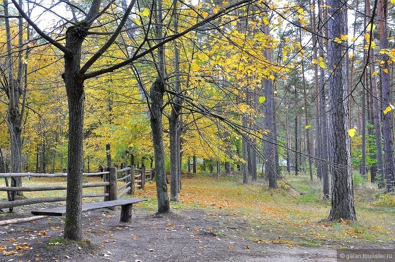 Осенняя фото-прогулка по Латвийскому этнографическому музею