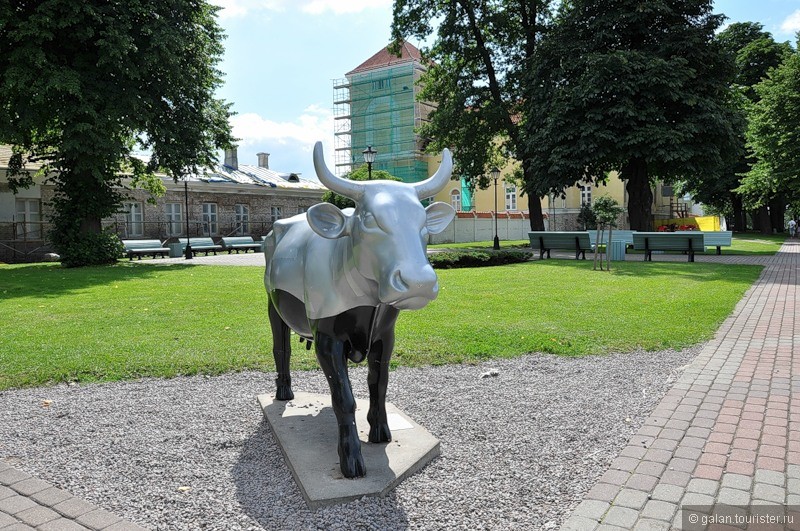 Поездки выходного дня: Вентспилс - город цветов, фонтанов и ... коров